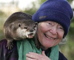 Rudi today, a fine figure of an otter