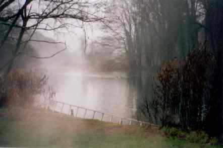The lake, looking from the house upstream