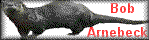 Bob Arnebeck's Otter Tracking Site