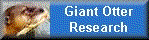 Giant Otter Researchers' Site
