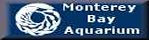 Monterey Bay Aquarium: Sea Otter Pages