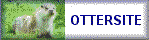 Friends of OtterJoy: The Otter Site