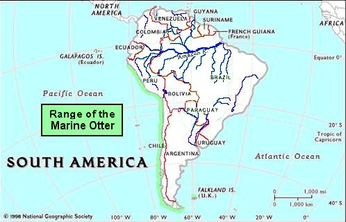 Distribution of Lontra felina