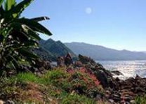 Banderas Bay, where Neotropical Otters fish